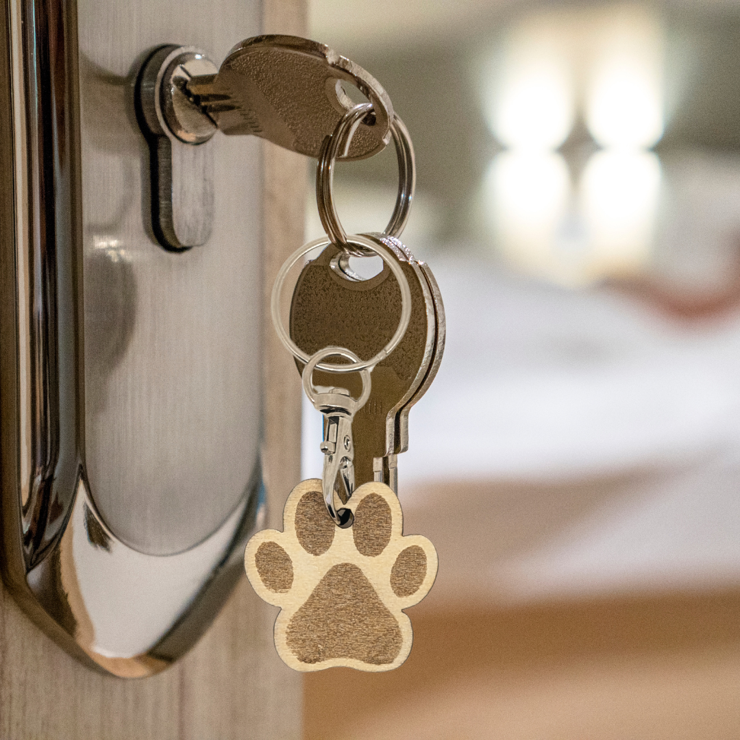 Porte Clés Bois Patte De Chien - Mobju